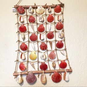 Sea shell Wall decor